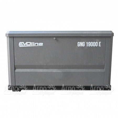 Газовый генератор EVOline GNG 19000 E 16 кВт  в Москве