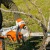 Аккумуляторная пила Stihl MSA 220 C-B-16" в Москве